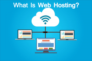 what is web hosting